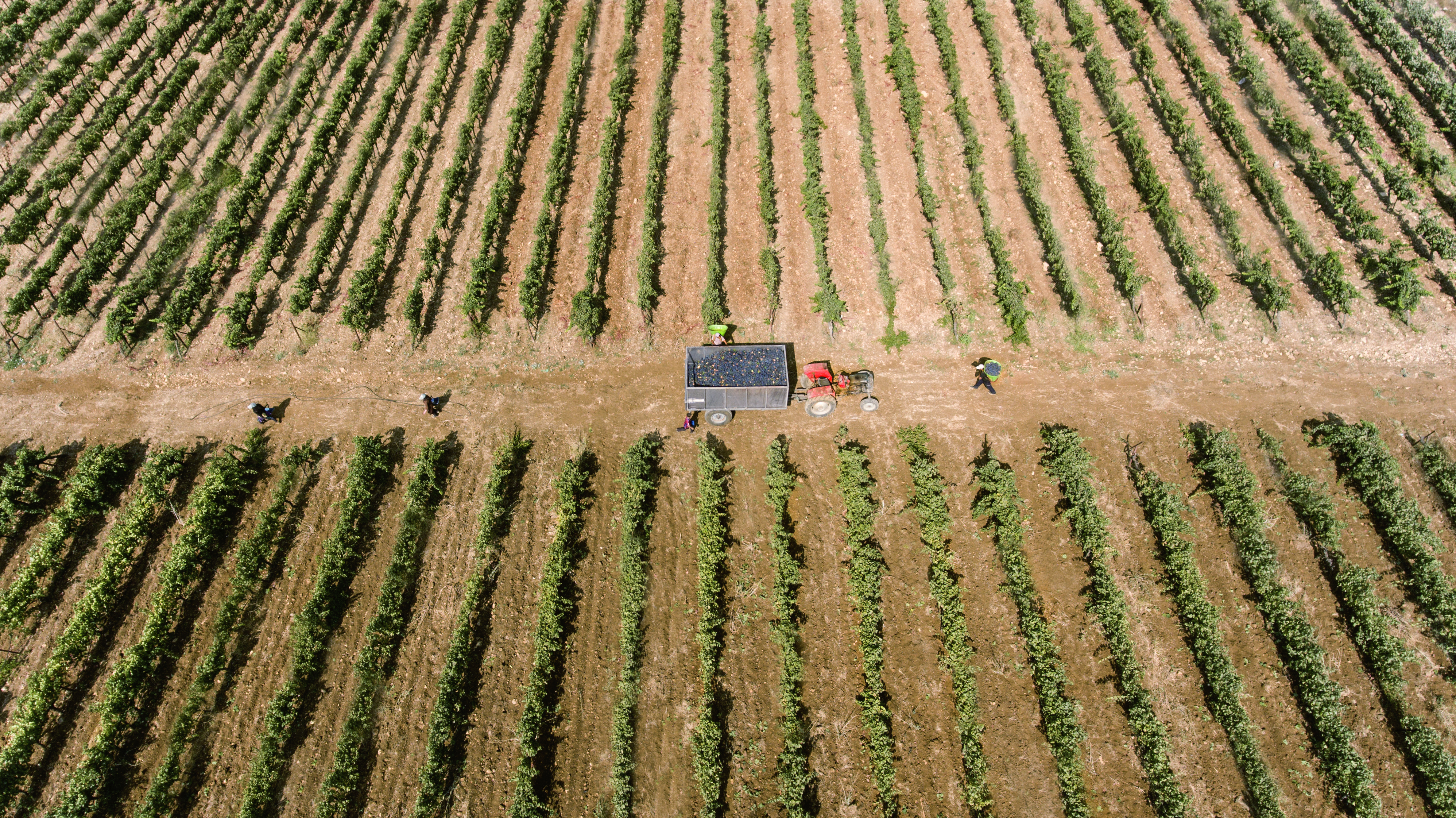 Herkunft & Terroir
